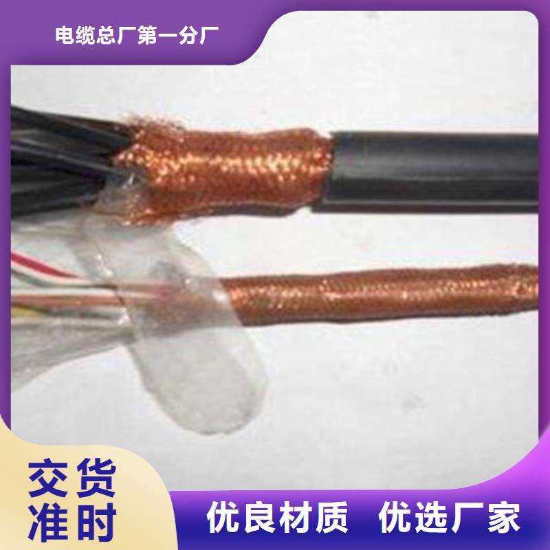 NH-DJVP3VR耐火计算机电缆30X2X2.5