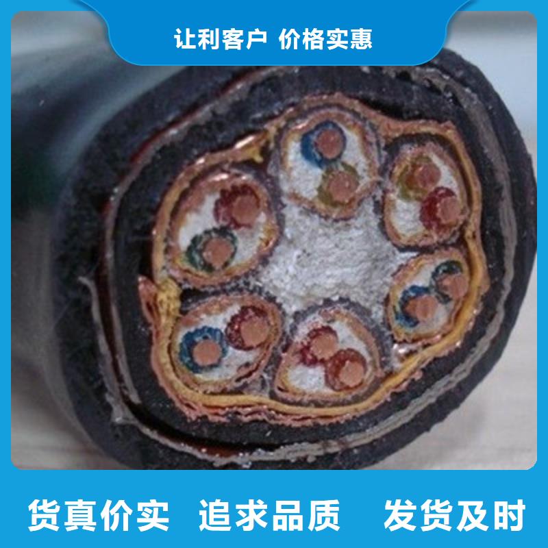 WDZ-HBIYP2YVZ22-II低烟无卤计算机电缆厂家直销-老顾客喜爱