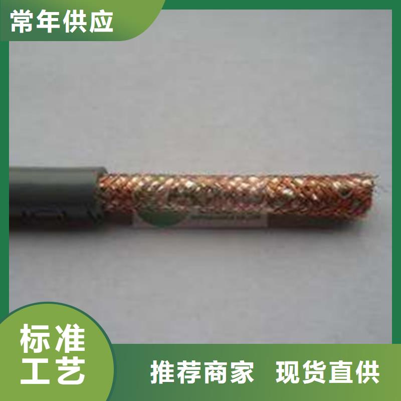 耐火计算机电缆NH-DJVVP3-224X2X2.5