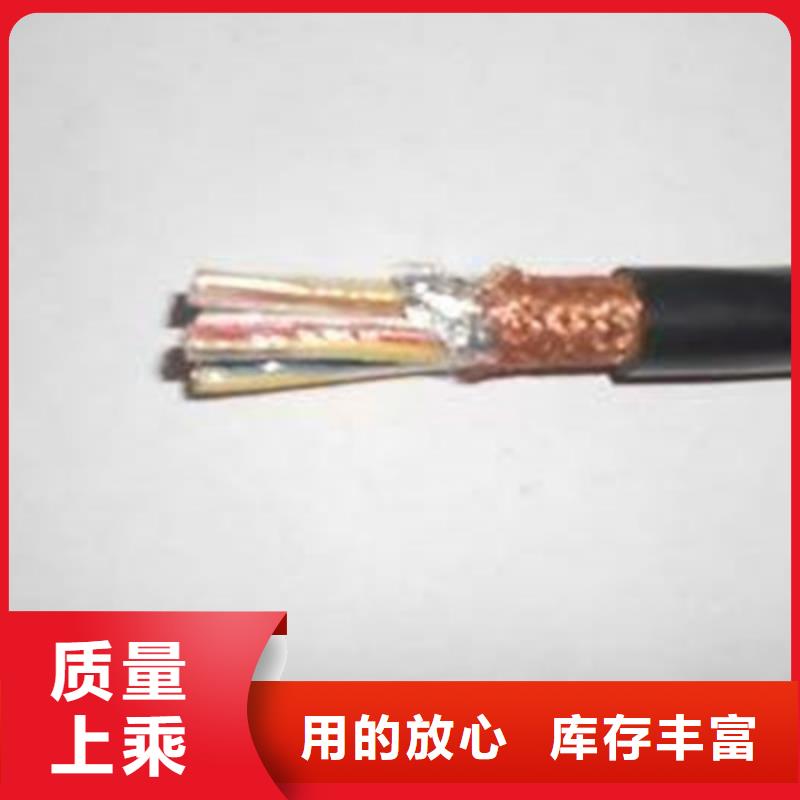 耐火计算机电缆NH-DJYPVPR10X2X1.0