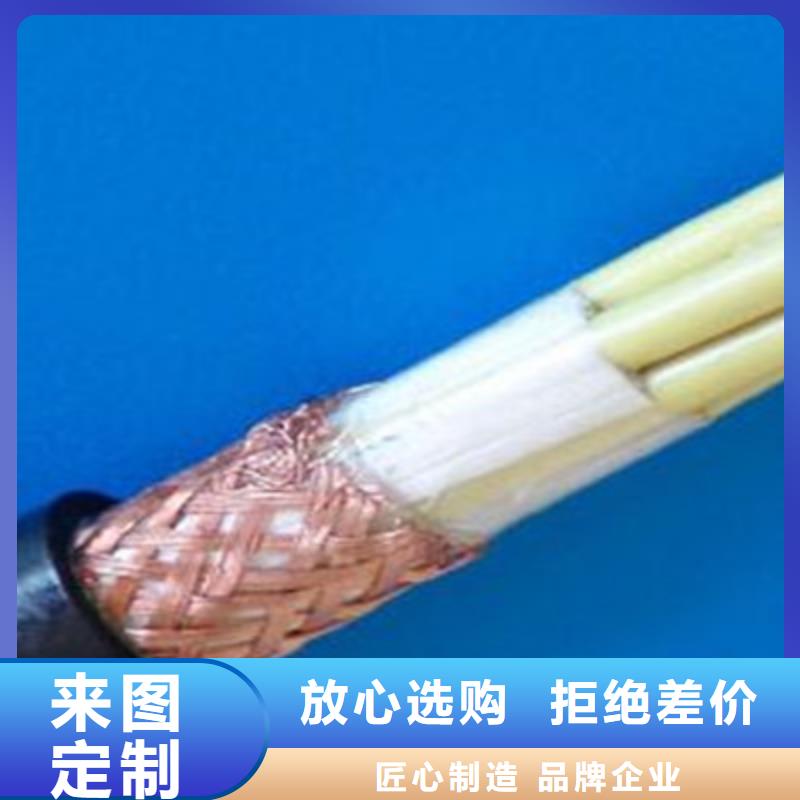 DJYPVPR铠装计算机电缆6X2X2.5