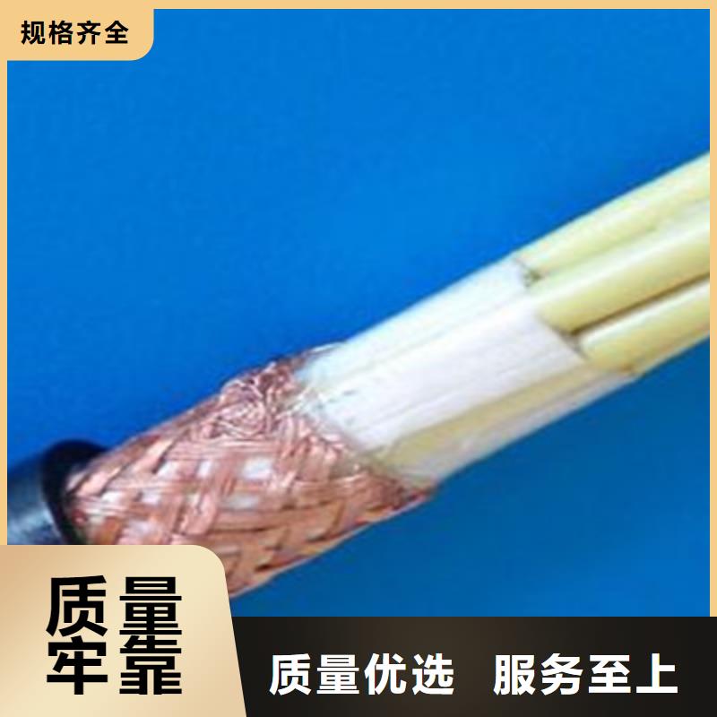 耐火计算机电缆NH-DJYVP825X2X1.5