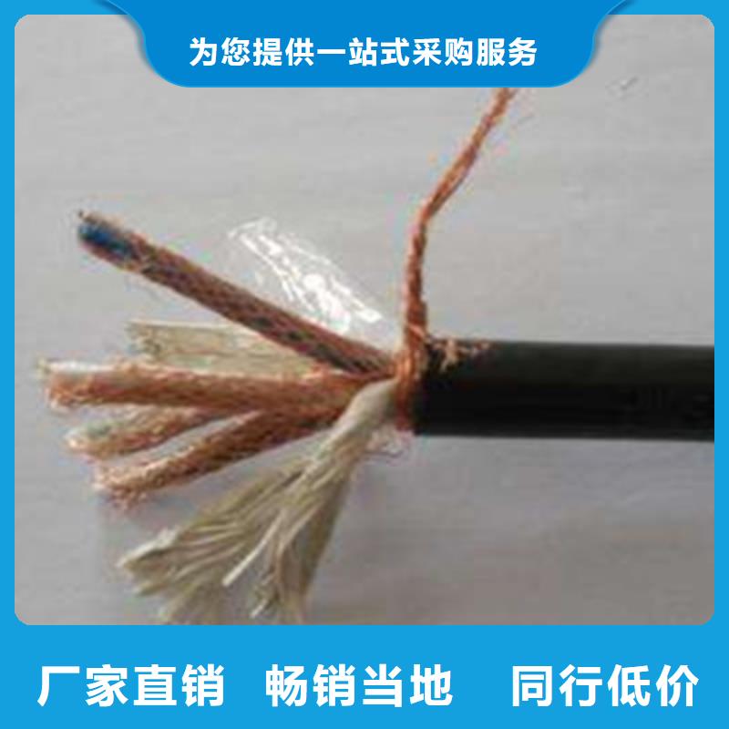 计算机屏蔽电缆BIA-JYPV-2R品质有保障