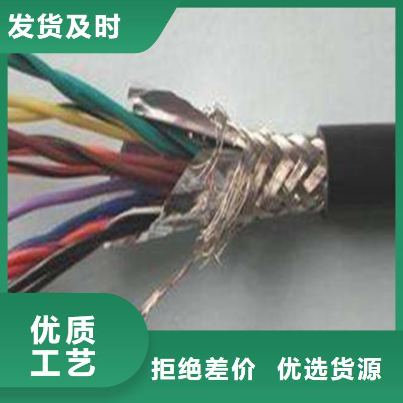 耐火计算机电缆NH-DJYVP825X2X1.5