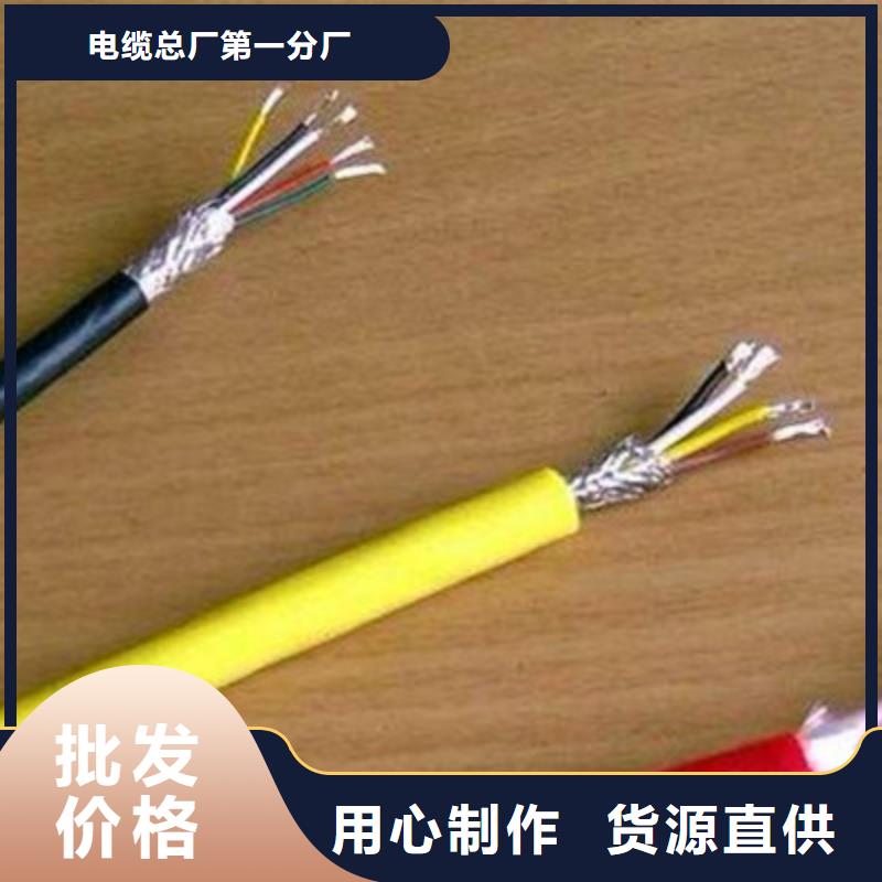 专业销售阻燃计算机电缆ZR-SWAOS-放心