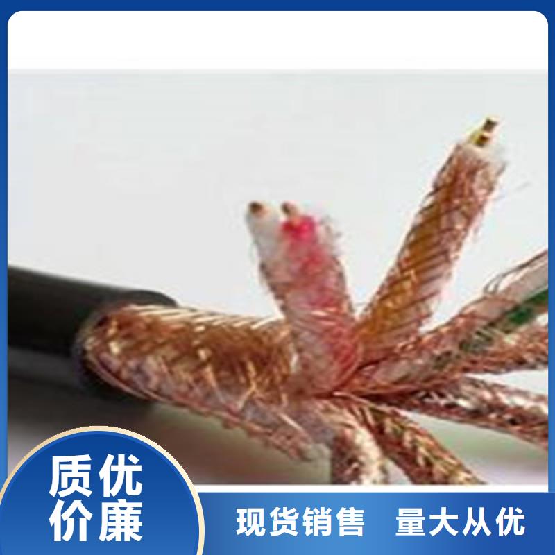 耐火计算机电缆NH-DJYJVP224X2X1.0