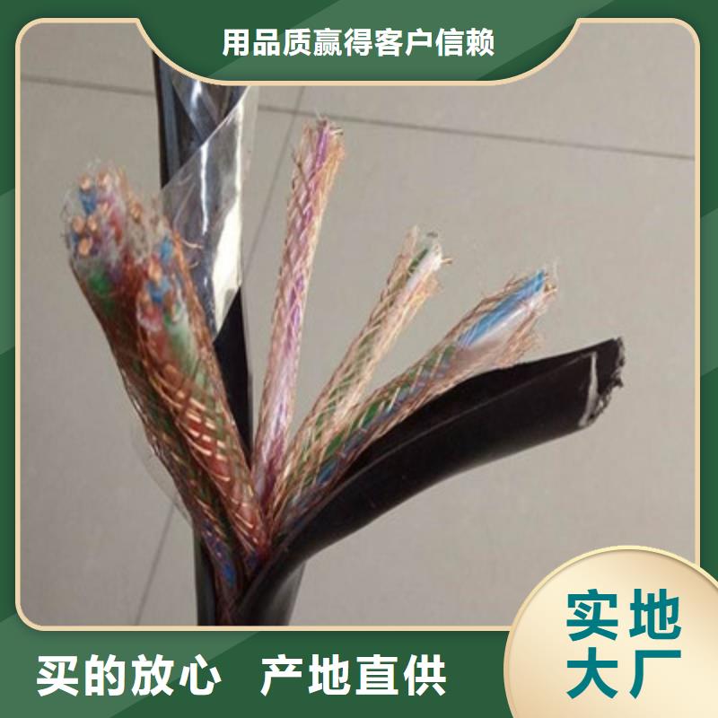 铠装计算机电缆DJYJP2V14X2X1.5