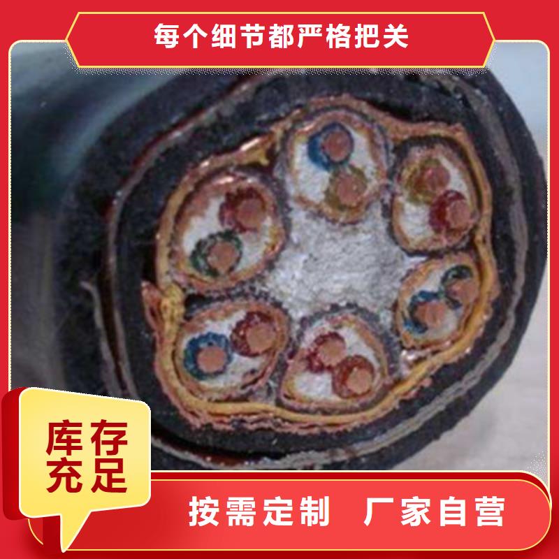 WDZ-JYPVRP低烟无卤计算机电缆1X2X2.5