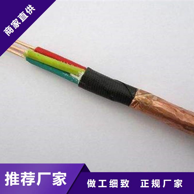 NH-DJYJVP3R耐火计算机电缆3X2X0.75