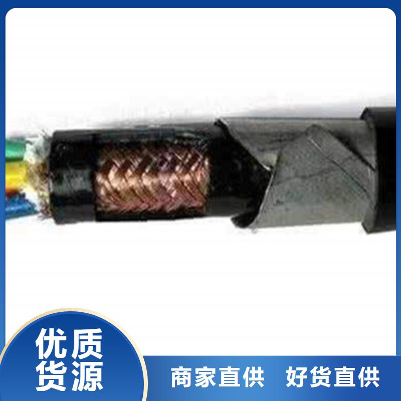 信誉好的DJYPVPR铠装计算机电缆厂家