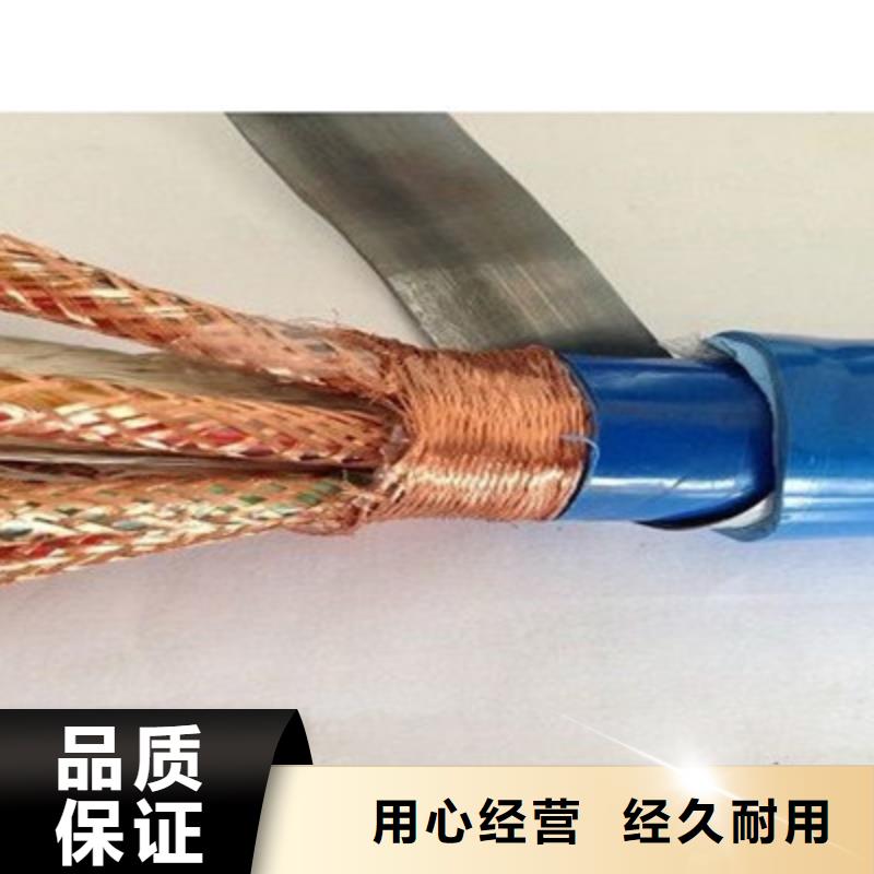 JYPVRP计算机屏蔽电缆24X2X0.75