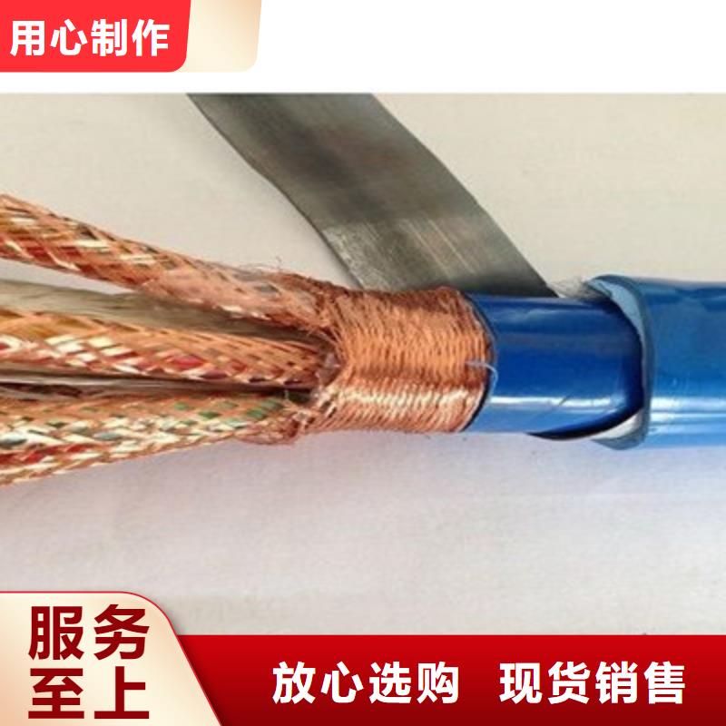 质量可靠的PRVZP-1-F屏蔽电缆基地