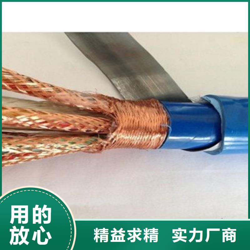 WDZ-JYPVRP低烟无卤计算机电缆1X2X2.5
