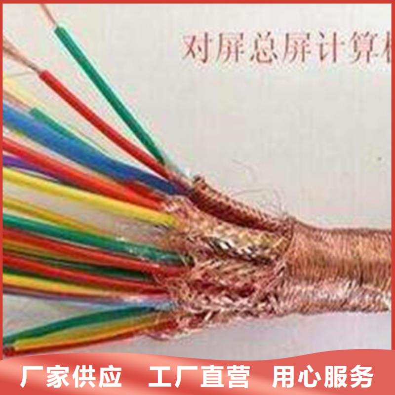 专业销售阻燃计算机电缆ZR-SWAOS-放心