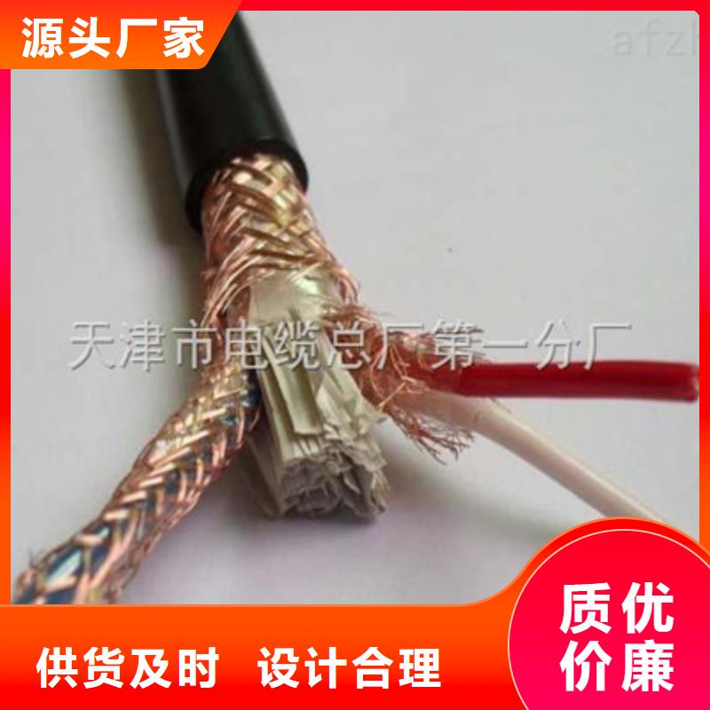 计算机屏蔽电缆BIA-JYPV-2R品质有保障