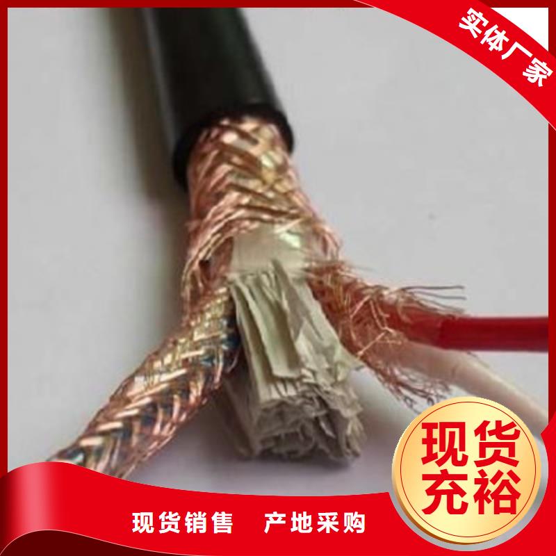 耐火计算机电缆NH-DJVP3V30X2X0.75