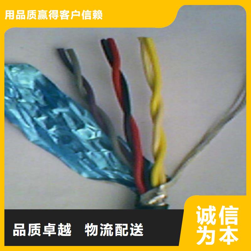 耐火计算机电缆NH-DJYPV2230X2X0.75