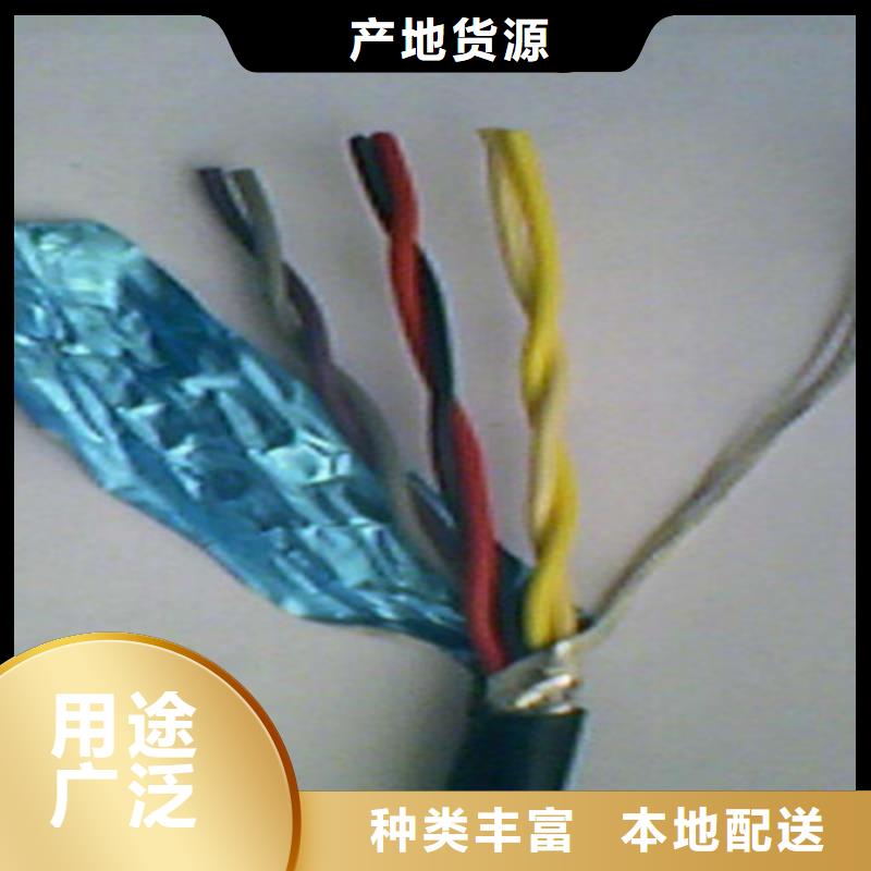 计算机屏蔽电缆DJVP3VR来厂考察