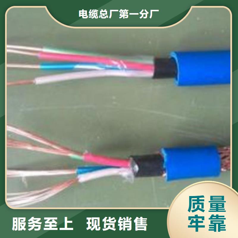 耐火计算机电缆NH-DJYJVP224X2X1.0