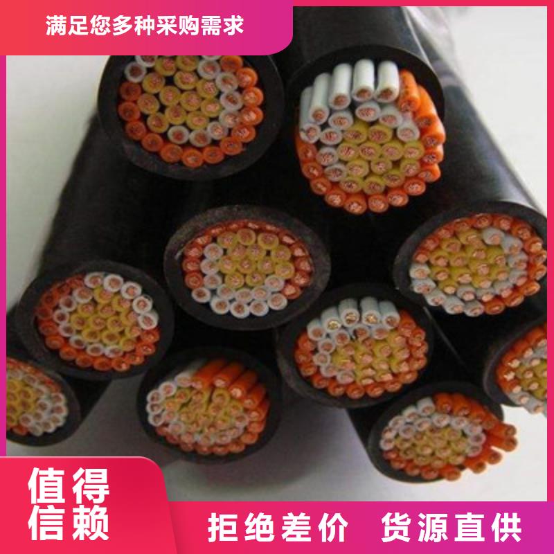 耐火计算机电缆NH-DJYPVPR10X2X1.0