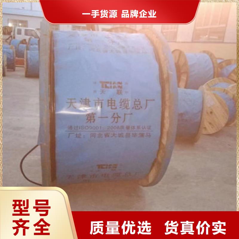 供应N-DJYJP1VRP132耐火电缆的厂家