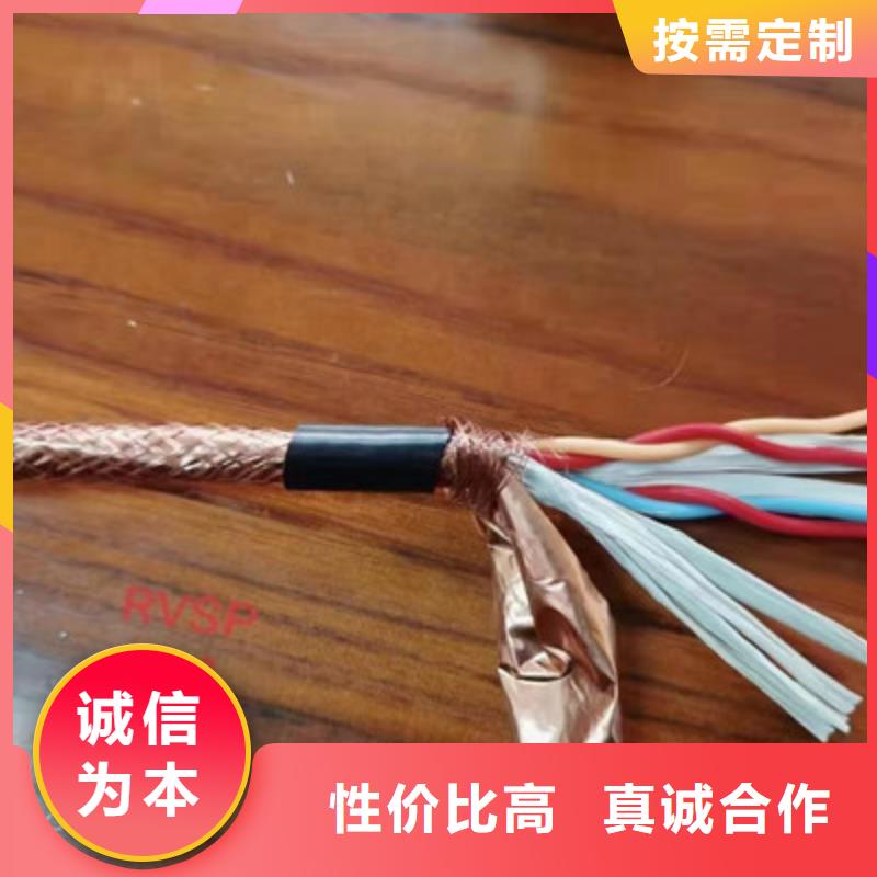 耐火计算机电缆NH-DJYJVP222X2X0.75