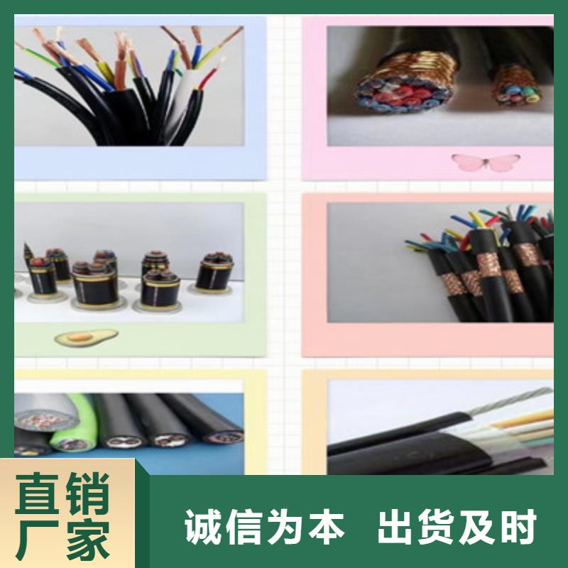 NH-JYPV-ZB耐火计算机电缆2X2X1.0