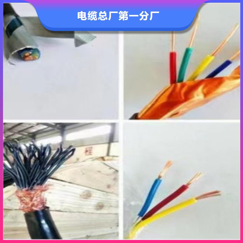 铠装计算机电缆DJYJP2V14X2X1.5