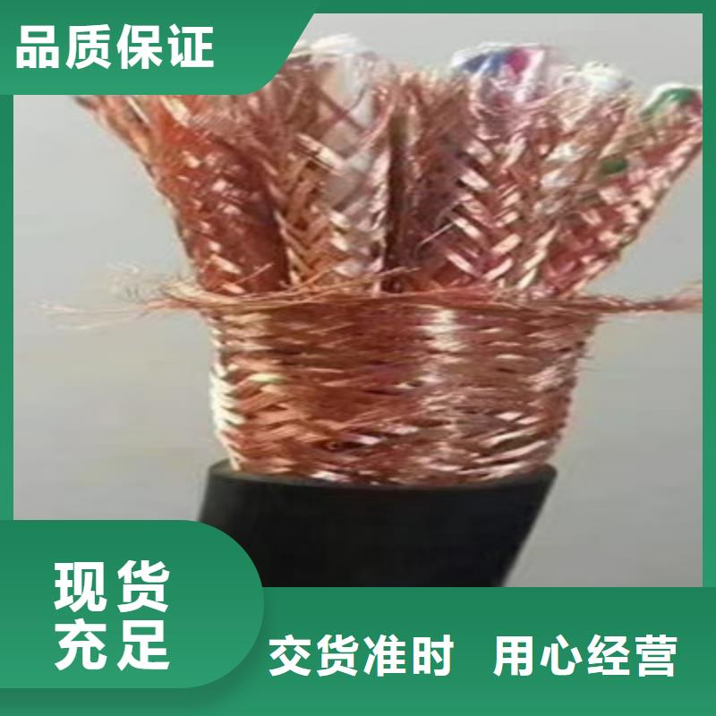 NH-JYPV-ZB耐火计算机电缆2X2X1.0