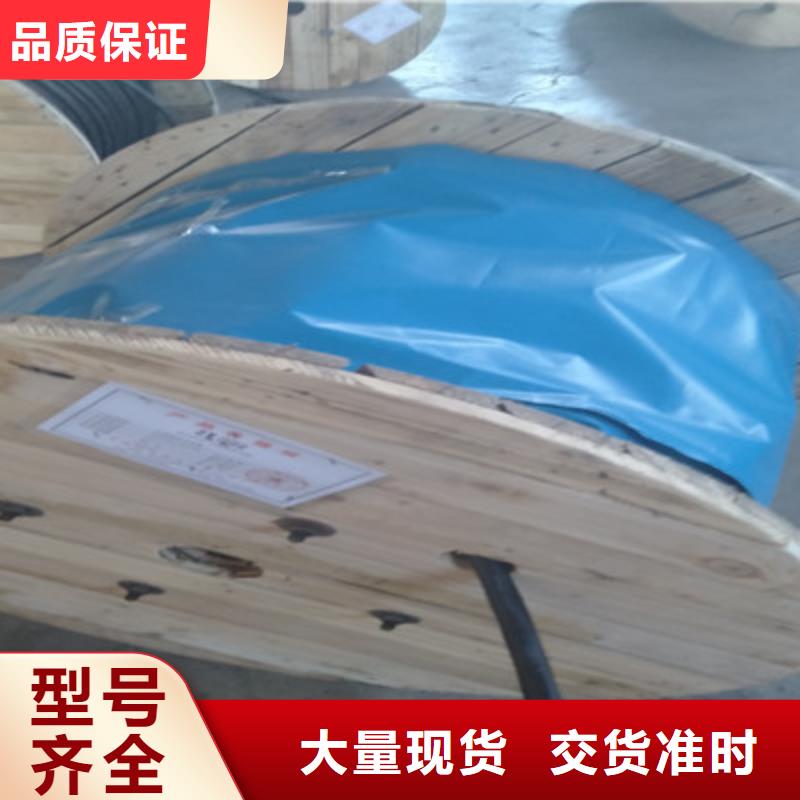 计算机屏蔽电缆HBIYP2YVZ-III、计算机屏蔽电缆HBIYP2YVZ-III厂家_规格齐全