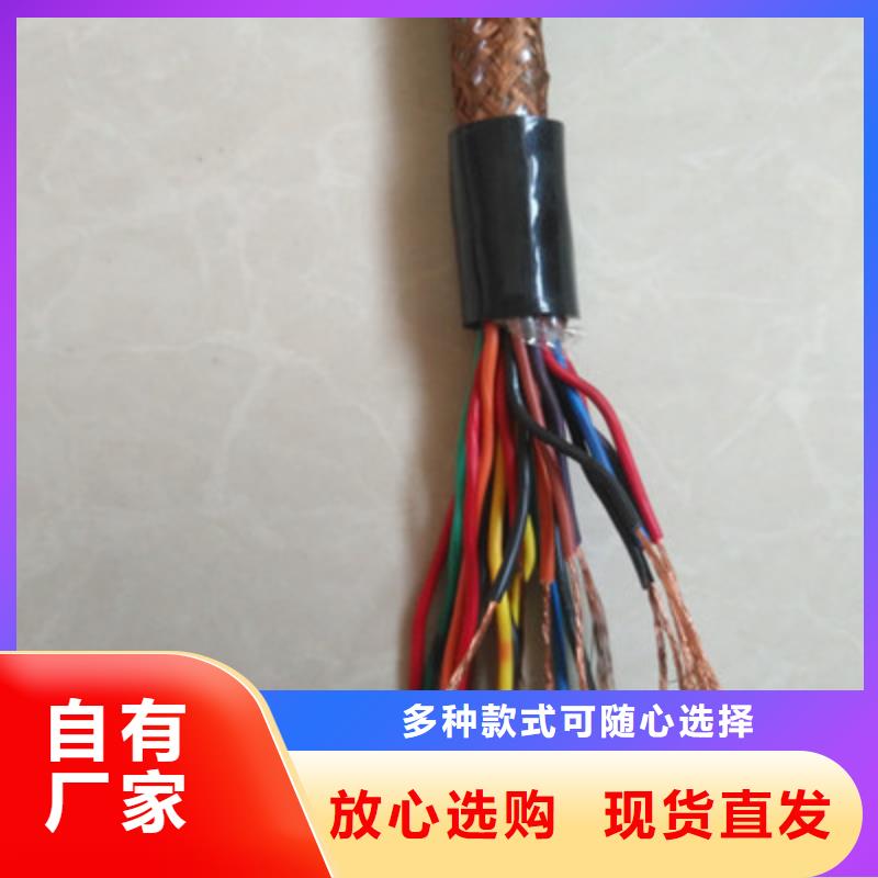 耐火计算机电缆NH-DJVP3VP3R6X2X0.75