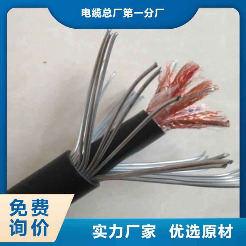 阻燃计算机电缆ZR-DJYJVPR8X2X1.0