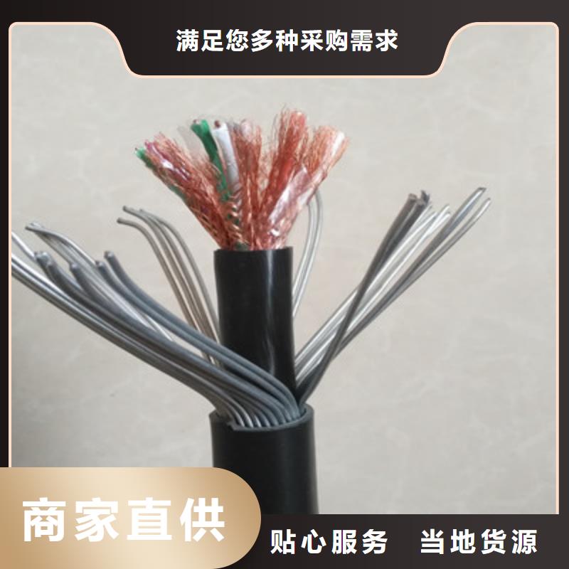 计算机屏蔽电缆DJYJP2V2R30X2X1.5