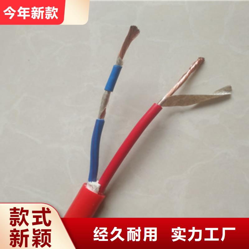 耐火计算机电缆NH-DJYPVPR10X2X1.0
