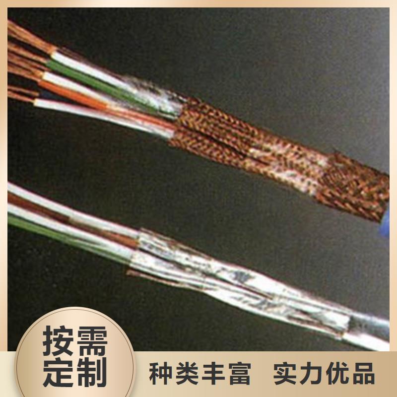 NH-JYPV-ZB耐火计算机电缆2X2X1.0