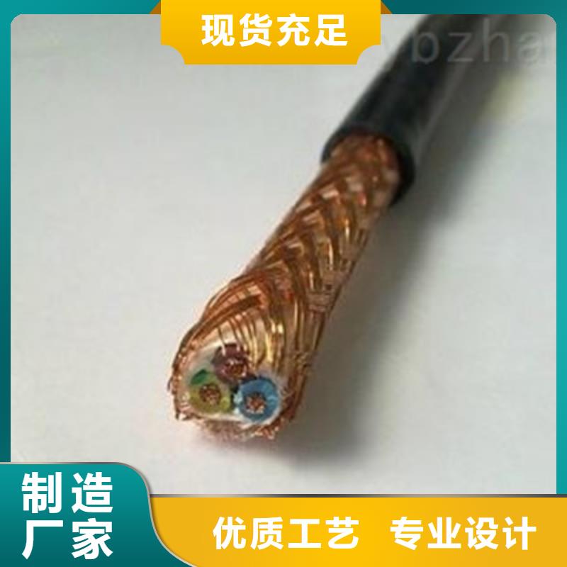 耐火计算机电缆NH-DJYPVPR10X2X1.0