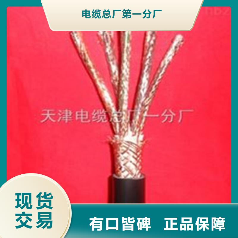 NH-DJVP3VR耐火计算机电缆30X2X2.5