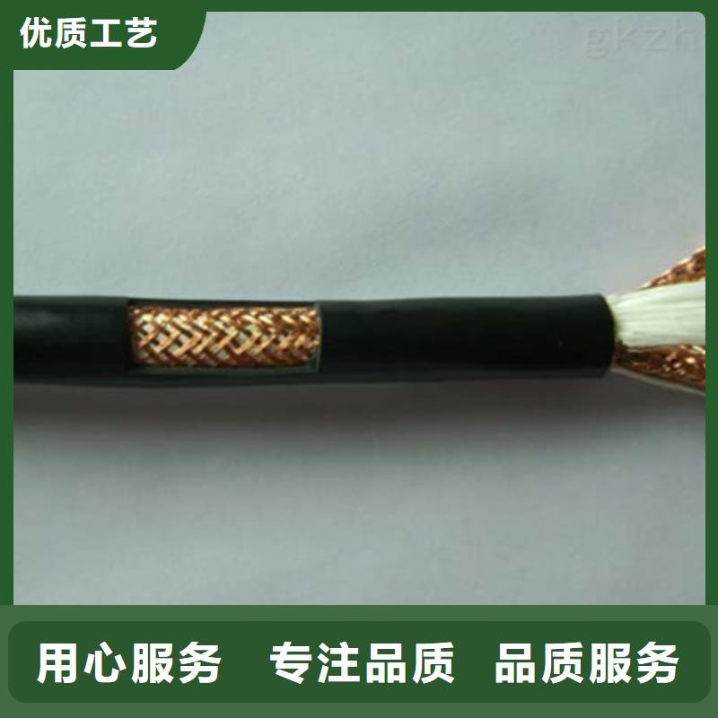 阻燃计算机电缆ZR-DJYJVP生产