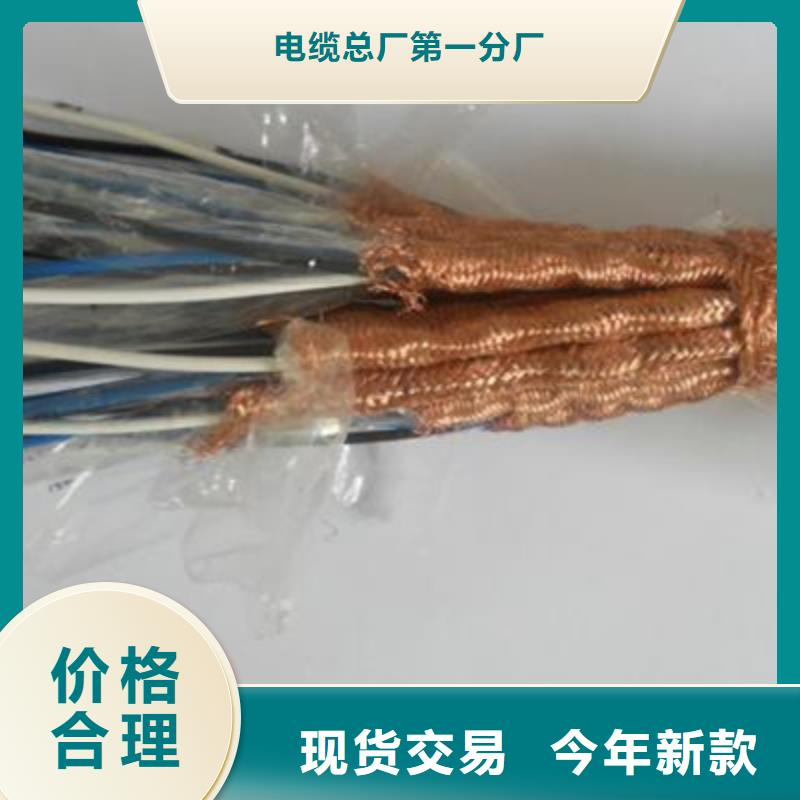 专业销售阻燃计算机电缆ZR-SWAOS-放心