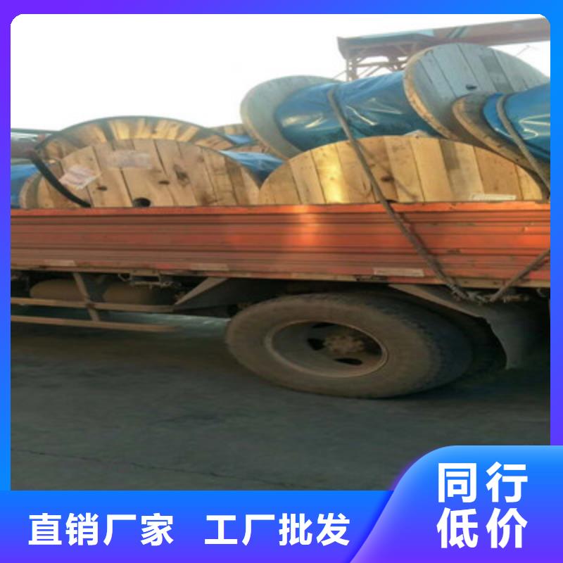 铠装计算机电缆DJYJP2V14X2X1.5
