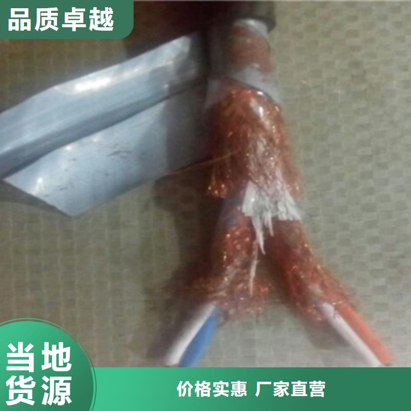 耐火计算机电缆NH-DJYVP3X2X1.0