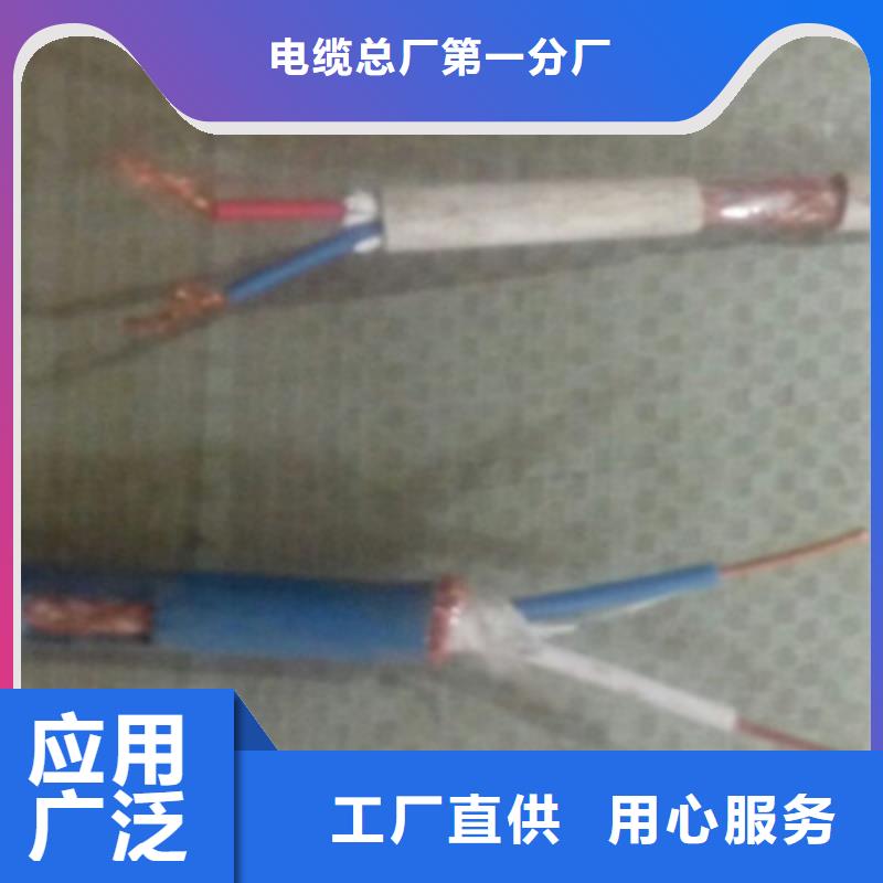 计算机屏蔽电缆BIA-JYPV-2R品质有保障