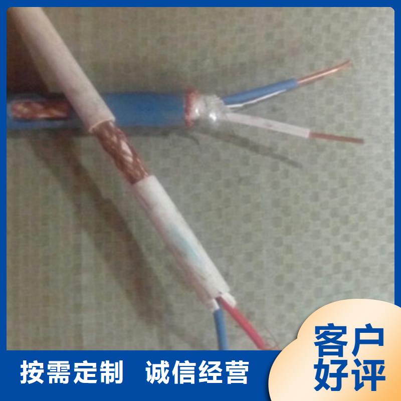 NH-DJVP3VR耐火计算机电缆30X2X2.5