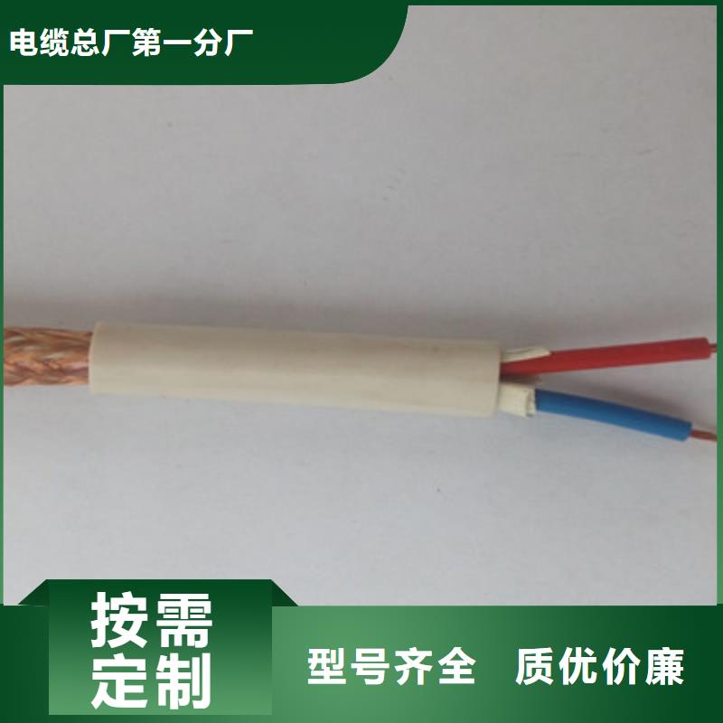 计算机屏蔽电缆BIA-JYPV-2R品质有保障
