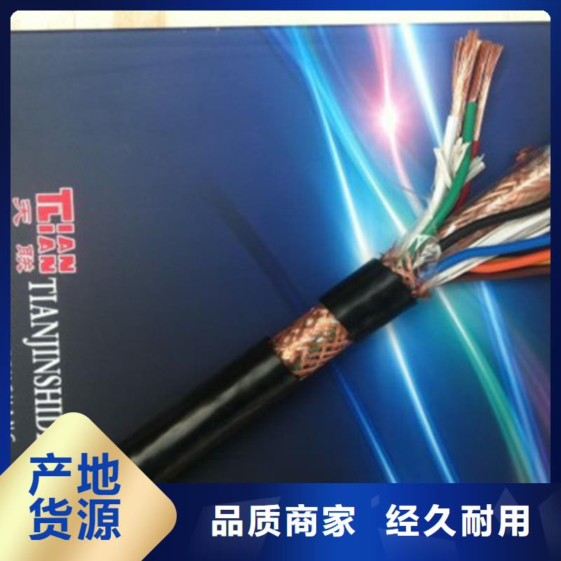 NH-JYPV-ZB耐火计算机电缆2X2X1.0