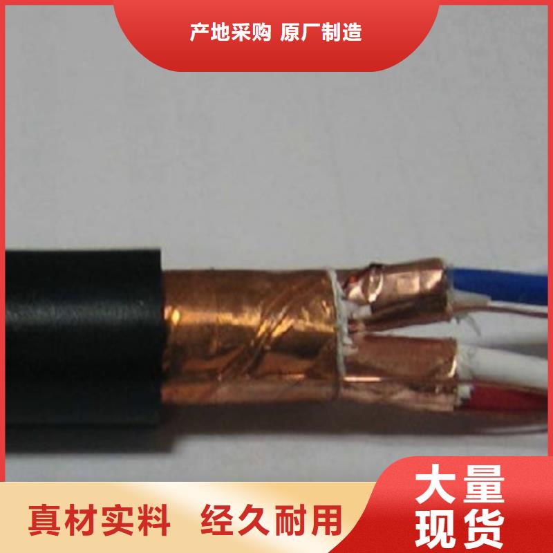 计算机屏蔽电缆BIA-JYPV-2R品质有保障