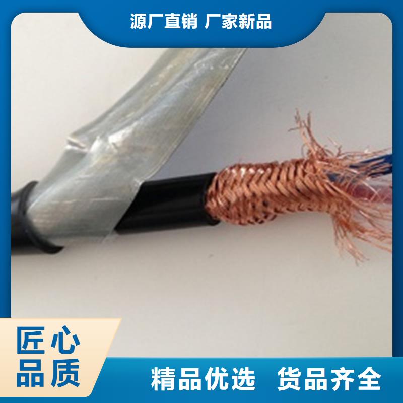 库存充足的阻燃计算机电缆ZR-SWAOS基地