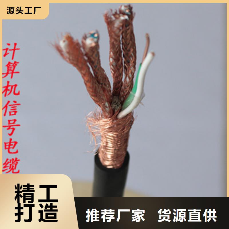 耐火计算机电缆NH-DJVP3V30X2X0.75