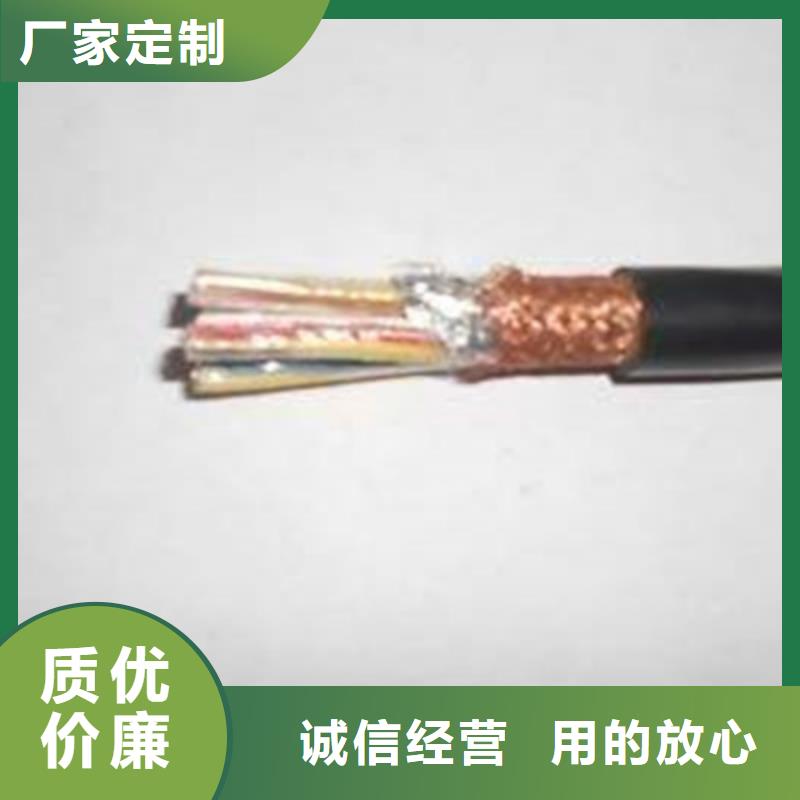 计算机屏蔽电缆DJYJP2V2R30X2X1.5