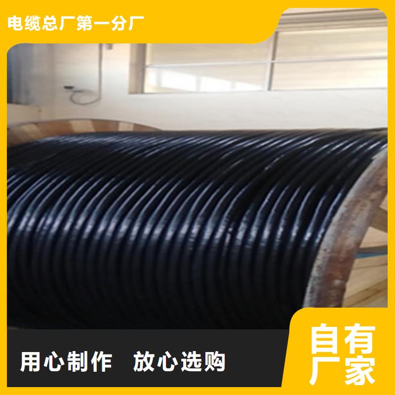 屏蔽控制电缆HVVP实地厂家